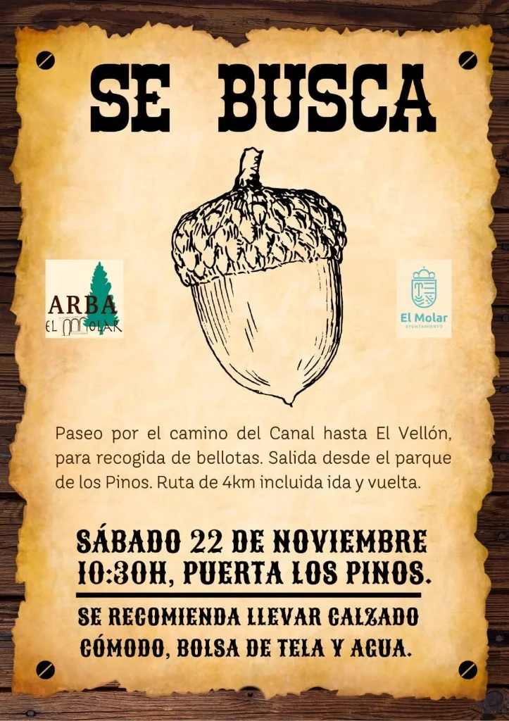 Se Busca Bellota